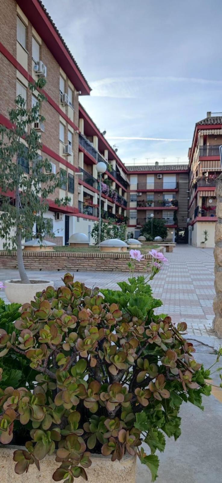 Loft A La Verita River, Parking Free Кордова Экстерьер фото
